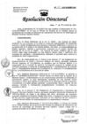 Vista preliminar de documento Resolución de Dirección Directoral