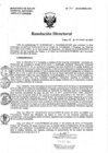 Vista preliminar de documento Resolución de Dirección Directoral