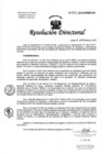 Vista preliminar de documento Resolución de Dirección Directoral