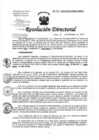 Vista preliminar de documento Resolución de Dirección Directoral