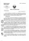 Vista preliminar de documento Resolución de Dirección Directoral