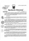Vista preliminar de documento Resolución de Dirección Directoral