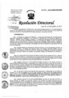 Vista preliminar de documento Resolución de Dirección Directoral