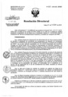 Vista preliminar de documento Resolución de Dirección Directoral