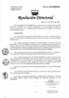 Vista preliminar de documento Resolución de Dirección Directoral