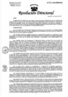 Vista preliminar de documento Resolución de Dirección Directoral