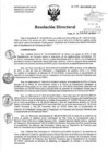 Vista preliminar de documento Resolución de Dirección Directoral