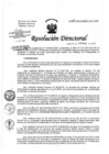 Vista preliminar de documento Resolución de Dirección Directoral