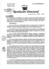 Vista preliminar de documento Resolución de Dirección Directoral