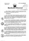 Vista preliminar de documento Resolución de Dirección Directoral