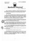 Vista preliminar de documento Resolución de Dirección Directoral
