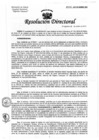Vista preliminar de documento Resolución de Dirección Directoral