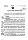 Vista preliminar de documento Resolución de Dirección Directoral