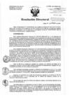 Vista preliminar de documento Resolución de Dirección Directoral