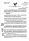 Vista preliminar de documento Resolución de Dirección Directoral