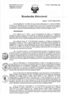 Vista preliminar de documento Resolución de Dirección Directoral