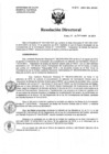 Vista preliminar de documento Resolución de Dirección Directoral