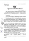 Vista preliminar de documento Resolución de Dirección Directoral