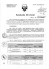 Vista preliminar de documento Resolución de Dirección Directoral