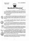 Vista preliminar de documento Resolución de Dirección Directoral