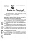 Vista preliminar de documento Resolución de Dirección Directoral
