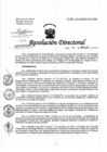 Vista preliminar de documento Resolución de Dirección Directoral