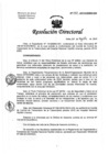 Vista preliminar de documento Resolución de Dirección Directoral