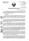 Vista preliminar de documento Resolución de Dirección Directoral