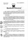 Vista preliminar de documento Resolución de Dirección Directoral