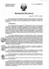 Vista preliminar de documento Resolución de Dirección Directoral