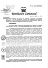 Vista preliminar de documento Resolución de Dirección Directoral
