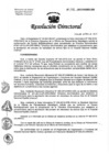 Vista preliminar de documento Resolución de Dirección Directoral