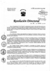 Vista preliminar de documento Resolución de Dirección Directoral