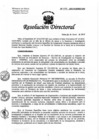 Vista preliminar de documento Resolución de Dirección Directoral