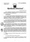 Vista preliminar de documento Resolución de Dirección Directoral