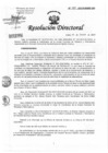 Vista preliminar de documento Resolución de Dirección Directoral