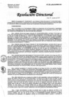 Vista preliminar de documento Resolución de Dirección Directoral