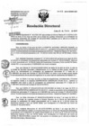 Vista preliminar de documento Resolución de Dirección Directoral