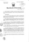 Vista preliminar de documento Resolución de Dirección Directoral