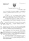 Vista preliminar de documento Resolución de Dirección Directoral