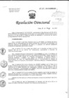 Vista preliminar de documento Resolución de Dirección Directoral