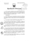 Vista preliminar de documento Resolución de Dirección Directoral