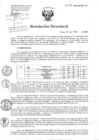Vista preliminar de documento Resolución de Dirección Directoral