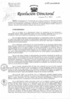 Vista preliminar de documento Resolución de Dirección Directoral
