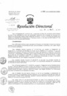 Vista preliminar de documento Resolución de Dirección Directoral
