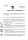 Vista preliminar de documento Resolución de Dirección Directoral