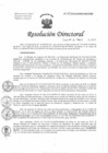 Vista preliminar de documento Resolución de Dirección Directoral