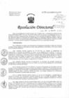 Vista preliminar de documento Resolución de Dirección Directoral