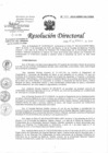 Vista preliminar de documento Resolución de Dirección Directoral