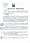 Vista preliminar de documento Resolución de Dirección Directoral
